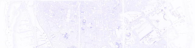 Decorative aerial map